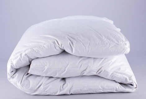 פריד | שמיכת פוך פריד סטאר